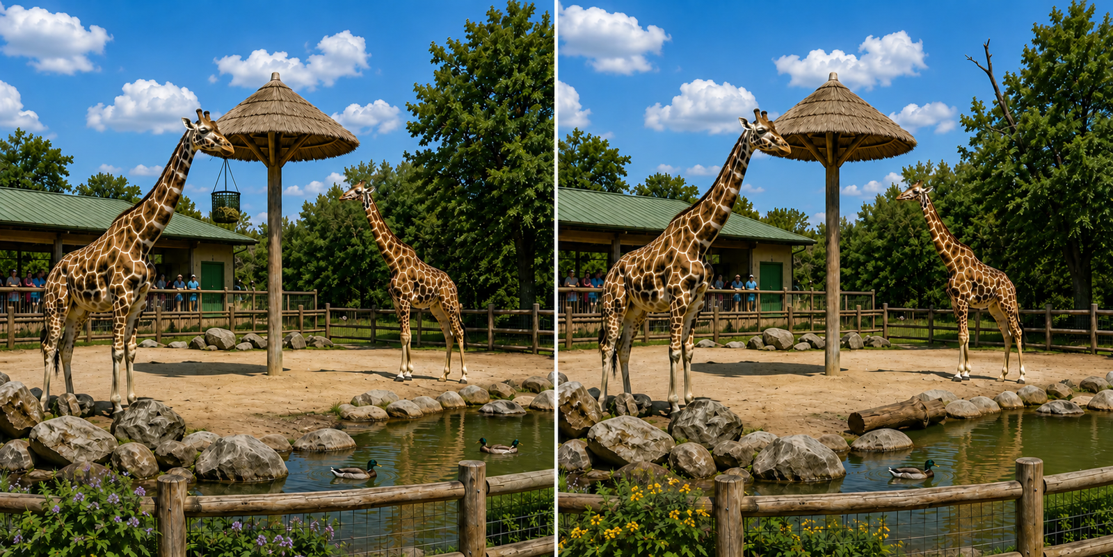 Spot the difference scene